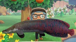 How to catch Arapaima in Animal Crossing: New Horizons | AllGamers