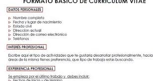 Curriculum Vitae Formato Basico Awls Digimerge Net