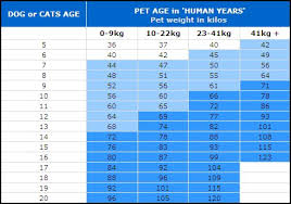 Lake Haven Rescue Cat Dog Age Table