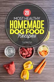 healthy homemade dog food recipes