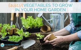 Easiest Vegetables To Grow In Your Home