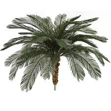 outdoor artificial cycas palm tree