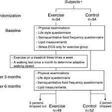 Flowchart For The Evaluation Of The Physical Fitness And