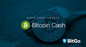 The developers behind bitcoin cash are aiming to change the blockchain's rules in a software update set for november. Bch Hard Fork Update Bitgo Enables Access To Bitcoin Sv Funds By Olivia Lovenmark Official Bitgo Blog