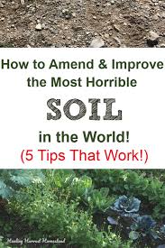 How To Amend The Most Horrible Soil In
