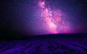 pink galaxy over lavender field