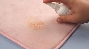 How To Clean Carpet Stains 12 Steps