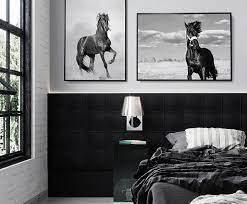 Black Horse Equestrian Wall Art