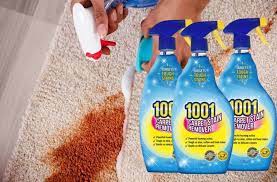 1001 carpet trouble shooter bleach