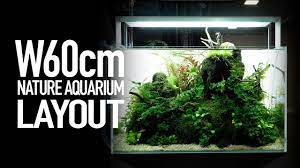 ada cube garden 60p rimless aquarium