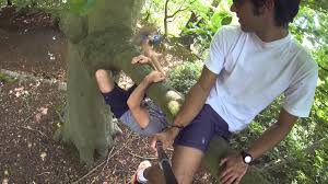 how to climb a tree safely residence