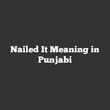 nailed it meaning in punjabi meaning