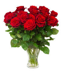 bouquet of red roses images browse