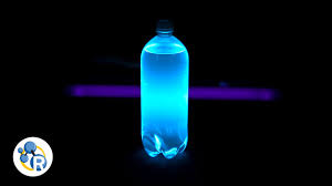 So, blacklight is the light that glows in the presence of uv light, in the dark. Grow Your Own Glowing Flowers The Science Of Fluorescence Live Science