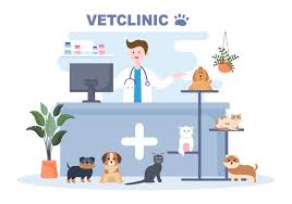 veterinary clinic doctor examining