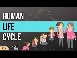 human life cycle in hindi