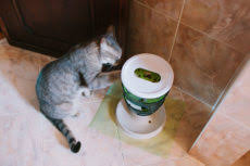 Check spelling or type a new query. No Spill Cat Water Bowls Spill Proof Dishes Some Heavy Weighted
