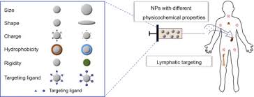 Physical And Chemical Profiles Of Nanoparticles For