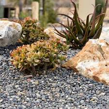Southwest Boulder Stone 0 25 Cu Ft 3 In To 5 In Mixed Mexican Beach Pebble Smooth Round Rock For Gardens Landscapes And Ponds