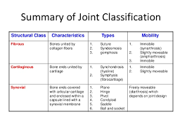 Joint Classification Table Human Anatomy Physiology