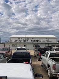 rugby livestock auction