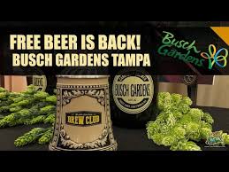 free beer is back at busch gardens
