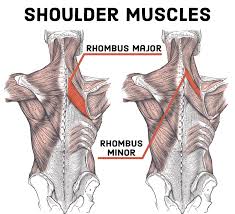 sore shoulder treatment relieve the