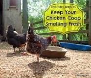 how-do-you-keep-a-chicken-run-from-smelling