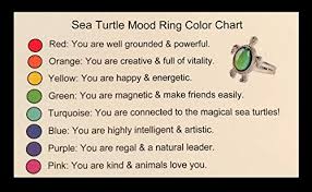Turtle Mood Ring With Color Chart And Organza Gift Bag Buy