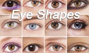 your eye shape best eye liner style