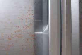 rust off of a stainless steel fridge