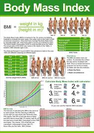 Body Mass Index Calculator 3d Bmi Workouts Health Bmi