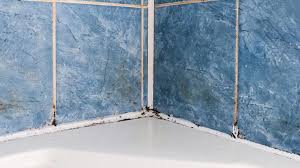 how to prevent mold in bathrooms