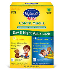 Hylands 4 Kids Cold N Mucus Day Night Value Pack