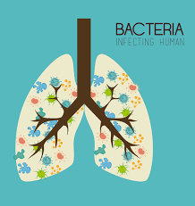 microbiota respiratory tract in cf patients