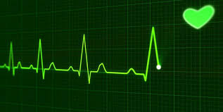 Electrocardiography Ecg Heart Rate Hr Brainsigns