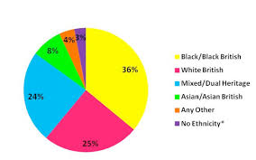 Figure One Pie Chart Showing Participant Ethnicity Of Young