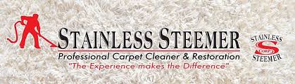 stainless steemer professional carpet
