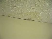 how-do-i-find-hidden-mold-in-my-house
