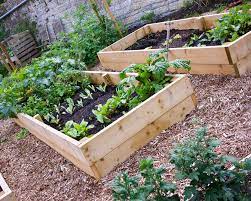 Scaffold Board Raised Beds Planters