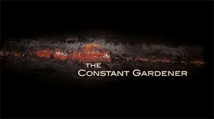 the constant gardener dvd review