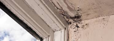 Signs Of Damp In Your House Okil
