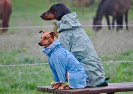 Hurtta Rain Blocker Dog Jacket