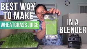 nutrition from wheatgr in a blender