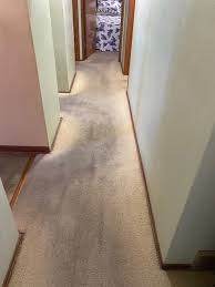how to fix discolored carpet zerorez