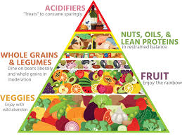 Sebi's nutritional guide as well as herbal remedies using dr. A Dr S Recommendations For The Alkaline Mediterranean Diet