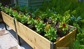 elevated garden beds with ornamental