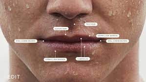 the ultimate guide to men s lip filler