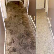 carpet cleaning north logan ut chem