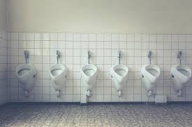 How do blind people get around safely? Can You Catch Germs From A Public Toilet Seat